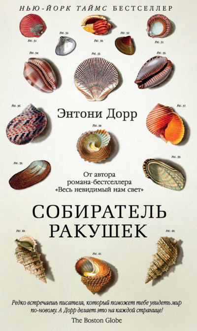 Собиратель ракушек - Энтони Дорр - Аудиокниги лучшие mp3 слушать ~ бесплатно без регистрации - knigaaudio.com