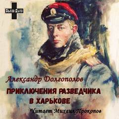 Приключения разведчика в Харькове. Рассказы - Александр Долгополов - Аудиокниги лучшие mp3 слушать ~ бесплатно без регистрации - knigaaudio.com
