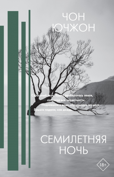 Семилетняя ночь - Чон Ючжон - Аудиокниги лучшие mp3 слушать ~ бесплатно без регистрации - knigaaudio.com