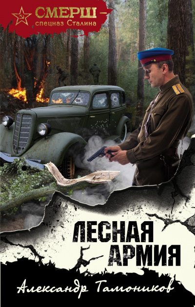 Лесная армия - Александр Тамоников - Аудиокниги лучшие mp3 слушать ~ бесплатно без регистрации - knigaaudio.com