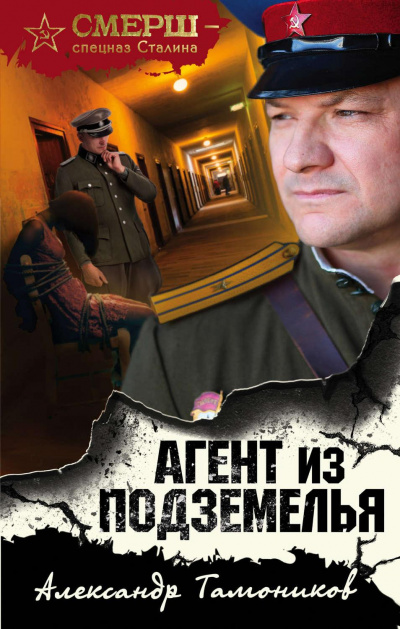 Агент из подземелья - Александр Тамоников - Аудиокниги лучшие mp3 слушать ~ бесплатно без регистрации - knigaaudio.com