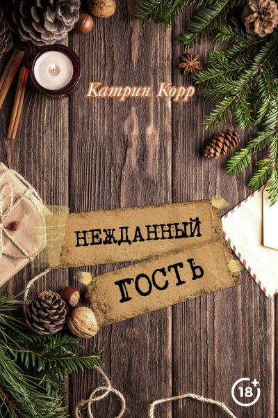 Нежданный гость - Катрин Корр - Аудиокниги лучшие mp3 слушать ~ бесплатно без регистрации - knigaaudio.com