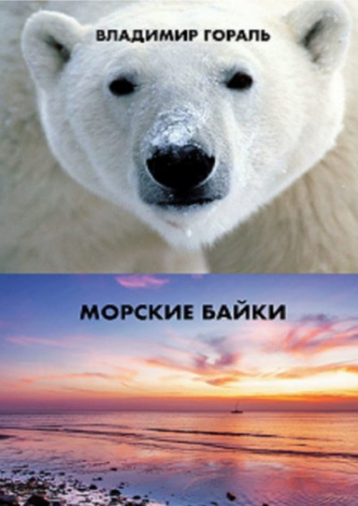 Морские байки - Владимир Гораль - Аудиокниги лучшие mp3 слушать ~ бесплатно без регистрации - knigaaudio.com