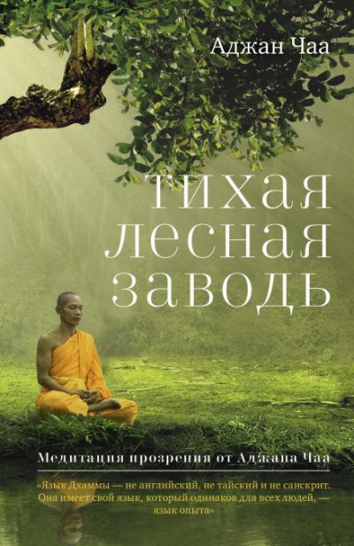 Тихая лесная заводь. Медитация прозрения от Аджана Чаа - Аджан Чаа - Аудиокниги лучшие mp3 слушать ~ бесплатно без регистрации - knigaaudio.com