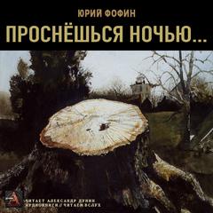 Проснешься ночью - Юрий Фофин - Аудиокниги лучшие mp3 слушать ~ бесплатно без регистрации - knigaaudio.com