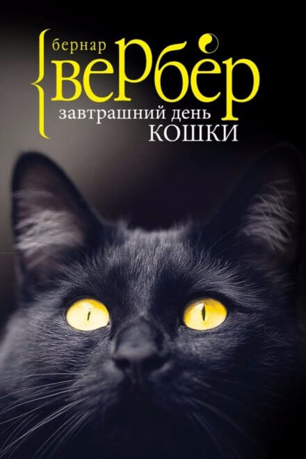 Завтрашний день кошки - Бернард Вербер - Аудиокниги лучшие mp3 слушать ~ бесплатно без регистрации - knigaaudio.com