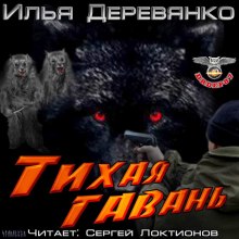 Тихая гавань - Илья Деревянко - Аудиокниги лучшие mp3 слушать ~ бесплатно без регистрации - knigaaudio.com