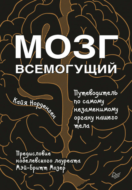 Мозг всемогущий. Путеводитель по самому незаменимому органу нашего тела - Кайя Норденген - Аудиокниги лучшие mp3 слушать ~ бесплатно без регистрации - knigaaudio.com