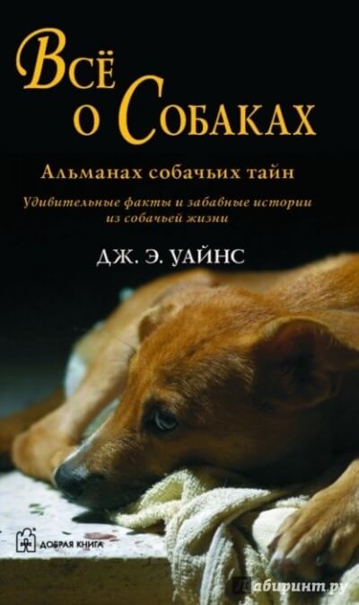 Все о собаках. Альманах собачьих тайн - Уайнс Дж.Э. - Аудиокниги лучшие mp3 слушать ~ бесплатно без регистрации - knigaaudio.com