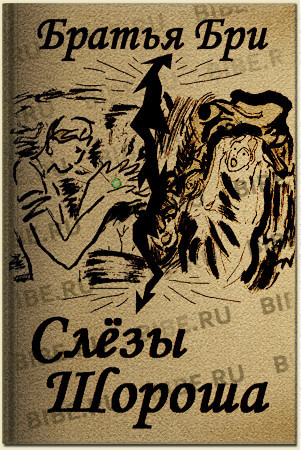 Слёзы Шороша. Книга 3 - Братья Бри - Аудиокниги лучшие mp3 слушать ~ бесплатно без регистрации - knigaaudio.com