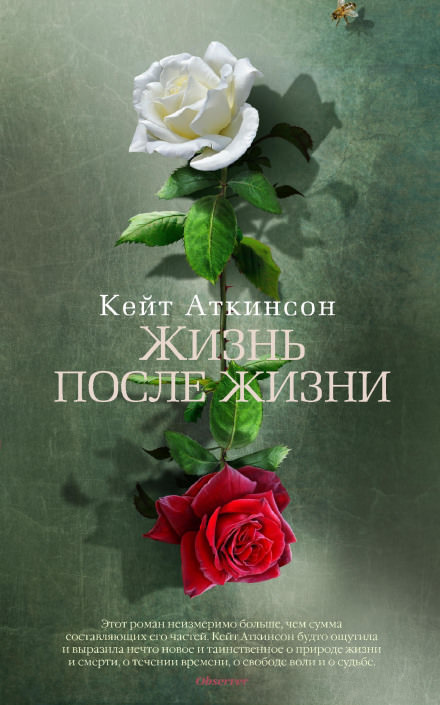 Жизнь после жизни - Кейт Аткинсон - Аудиокниги лучшие mp3 слушать ~ бесплатно без регистрации - knigaaudio.com