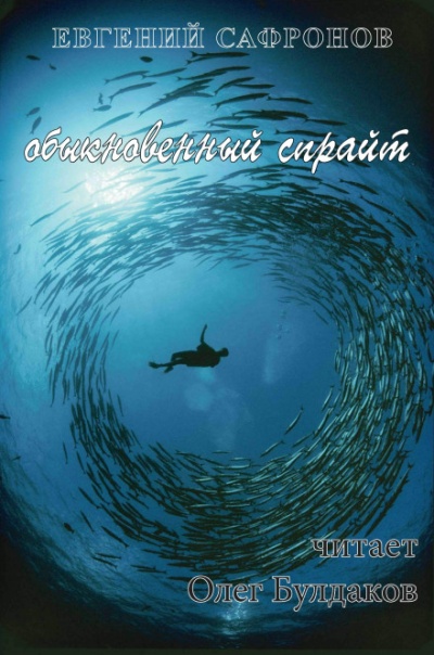 Обыкновенный спрайт - Евгений Сафронов - Аудиокниги лучшие mp3 слушать ~ бесплатно без регистрации - knigaaudio.com