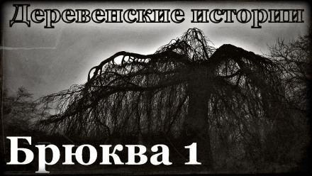 Брюква - Роман Пономарев - Аудиокниги лучшие mp3 слушать ~ бесплатно без регистрации - knigaaudio.com