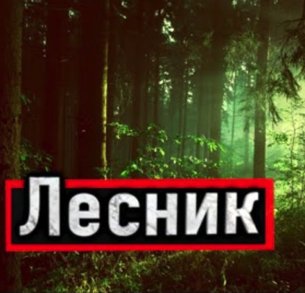Лесник - Александр Устинов - Аудиокниги лучшие mp3 слушать ~ бесплатно без регистрации - knigaaudio.com