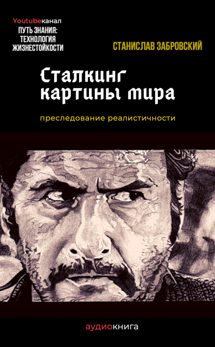 Сталкинг картины мира - Станислав Забровский - Аудиокниги лучшие mp3 слушать ~ бесплатно без регистрации - knigaaudio.com