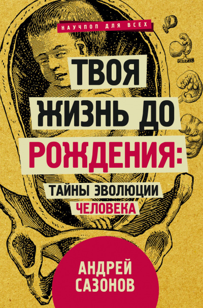 Твоя жизнь до рождения: тайны эволюции человека - Андрей Сазонов - Аудиокниги лучшие mp3 слушать ~ бесплатно без регистрации - knigaaudio.com