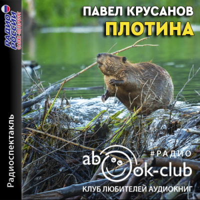 Плотина - Павел Крусанов - Аудиокниги лучшие mp3 слушать ~ бесплатно без регистрации - knigaaudio.com