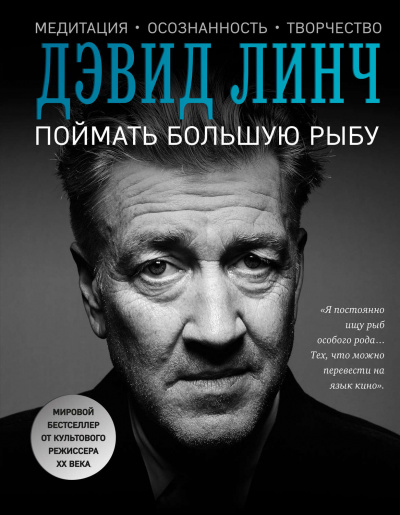 Поймать большую рыбу. Медитация, осознанность, творчество - Дэвид Линч - Аудиокниги лучшие mp3 слушать ~ бесплатно без регистрации - knigaaudio.com