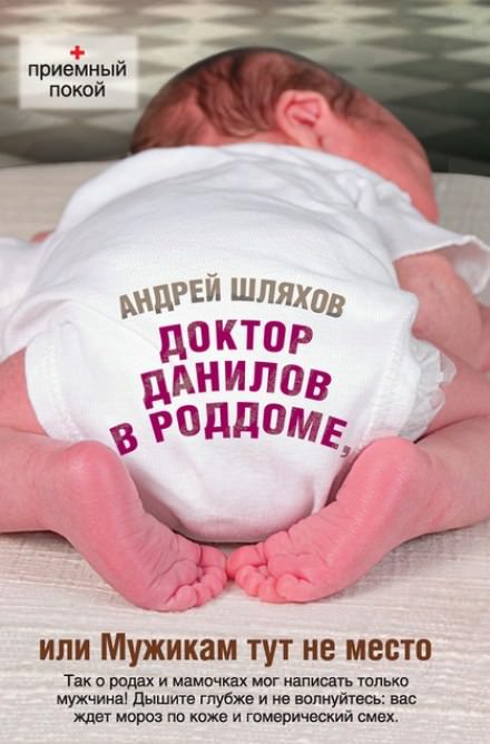 Доктор Данилов в роддоме, или Мужикам тут не место - Андрей Шляхов - Аудиокниги лучшие mp3 слушать ~ бесплатно без регистрации - knigaaudio.com