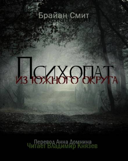 Психопат из южного округа - Брайан Смит - Аудиокниги лучшие mp3 слушать ~ бесплатно без регистрации - knigaaudio.com