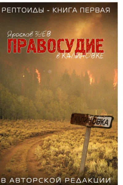 Правосудие в Калиновке - Ярослав Зуев - Аудиокниги лучшие mp3 слушать ~ бесплатно без регистрации - knigaaudio.com