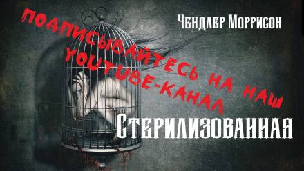 Стерилизованная - Чендлер Моррисон - Аудиокниги лучшие mp3 слушать ~ бесплатно без регистрации - knigaaudio.com