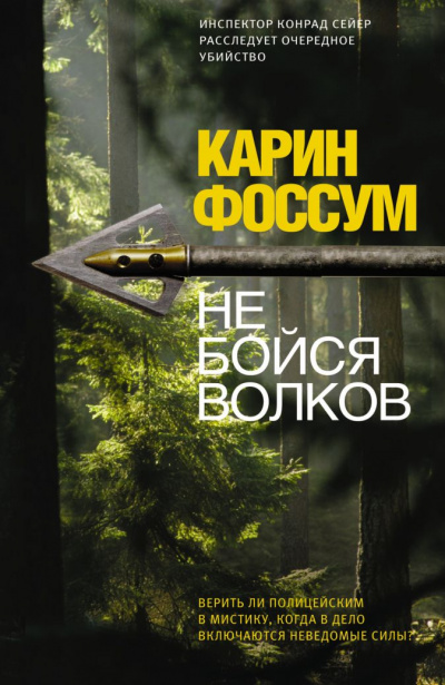 Не бойся волков - Карин Фоссум - Аудиокниги лучшие mp3 слушать ~ бесплатно без регистрации - knigaaudio.com
