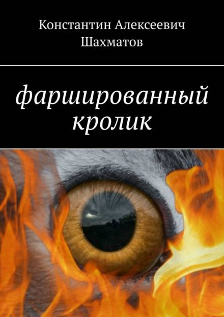 Фаршированный кролик - Константин Шахматов - Аудиокниги лучшие mp3 слушать ~ бесплатно без регистрации - knigaaudio.com