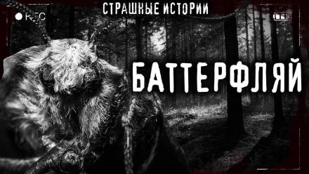 Баттерфляй - Итан Нэлоу - Аудиокниги лучшие mp3 слушать ~ бесплатно без регистрации - knigaaudio.com