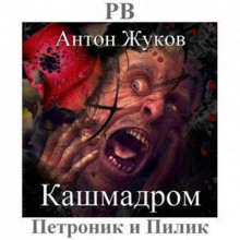 Кашмадром - Антон Жуков - Аудиокниги лучшие mp3 слушать ~ бесплатно без регистрации - knigaaudio.com