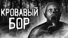 Кровавый бор - Даниил Авдеев - Аудиокниги лучшие mp3 слушать ~ бесплатно без регистрации - knigaaudio.com