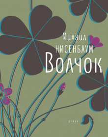 Волчок - Михаил Нисенбаум - Аудиокниги лучшие mp3 слушать ~ бесплатно без регистрации - knigaaudio.com