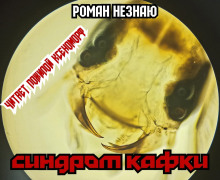 Синдром Кафки - Роман Незнаю - Аудиокниги лучшие mp3 слушать ~ бесплатно без регистрации - knigaaudio.com