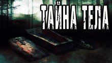 Тайна тела - Евгений Шорстов - Аудиокниги лучшие mp3 слушать ~ бесплатно без регистрации - knigaaudio.com