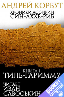 Тиль Гаримму - Андрей Корбут - Аудиокниги лучшие mp3 слушать ~ бесплатно без регистрации - knigaaudio.com