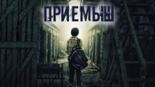Приёмыш - Александр Цзи - Аудиокниги лучшие mp3 слушать ~ бесплатно без регистрации - knigaaudio.com