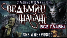 Ведьмы уходят в небо - Сергей Кирнос - Аудиокниги лучшие mp3 слушать ~ бесплатно без регистрации - knigaaudio.com