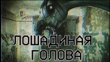 Лошадиная голова - Sallivan - Аудиокниги лучшие mp3 слушать ~ бесплатно без регистрации - knigaaudio.com