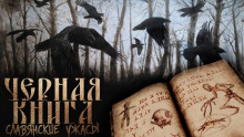 Чёрная книга Дикого леса - Денис Морозов - Аудиокниги лучшие mp3 слушать ~ бесплатно без регистрации - knigaaudio.com