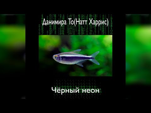 Данимира То - Черный неон (аудиокнига) | фантастика, цифровое бессмертие - Аудиокниги лучшие mp3 слушать ~ бесплатно без регистрации - knigaaudio.com