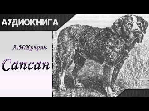 "Сапсан" А.И.Куприн. Аудиокнига - Аудиокниги лучшие mp3 слушать ~ бесплатно без регистрации - knigaaudio.com