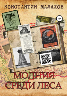 Молния среди леса - Константин Малахов - Аудиокниги лучшие mp3 слушать ~ бесплатно без регистрации - knigaaudio.com
