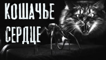 Кошачье сердце - Руслан Темир - Аудиокниги лучшие mp3 слушать ~ бесплатно без регистрации - knigaaudio.com