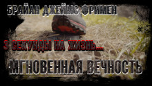 Мгновенная вечность - Брайан Джеймс Фримен - Аудиокниги лучшие mp3 слушать ~ бесплатно без регистрации - knigaaudio.com