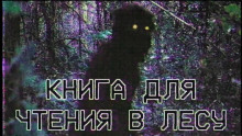 Книга для чтения в лесу - Grey - Аудиокниги лучшие mp3 слушать ~ бесплатно без регистрации - knigaaudio.com
