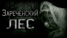 Легенда Зареченского леса - Ирина Тунова - Аудиокниги лучшие mp3 слушать ~ бесплатно без регистрации - knigaaudio.com