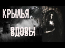 Крылья вдовы - Мария Токарева - Аудиокниги лучшие mp3 слушать ~ бесплатно без регистрации - knigaaudio.com