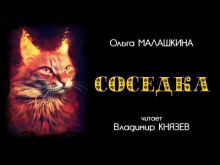 Соседка - Ольга Малашкина - Аудиокниги лучшие mp3 слушать ~ бесплатно без регистрации - knigaaudio.com