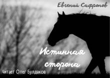 Истинная сторона - Евгений Сафронов - Аудиокниги лучшие mp3 слушать ~ бесплатно без регистрации - knigaaudio.com