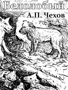 Белолобый - Антон Чехов - Аудиокниги лучшие mp3 слушать ~ бесплатно без регистрации - knigaaudio.com